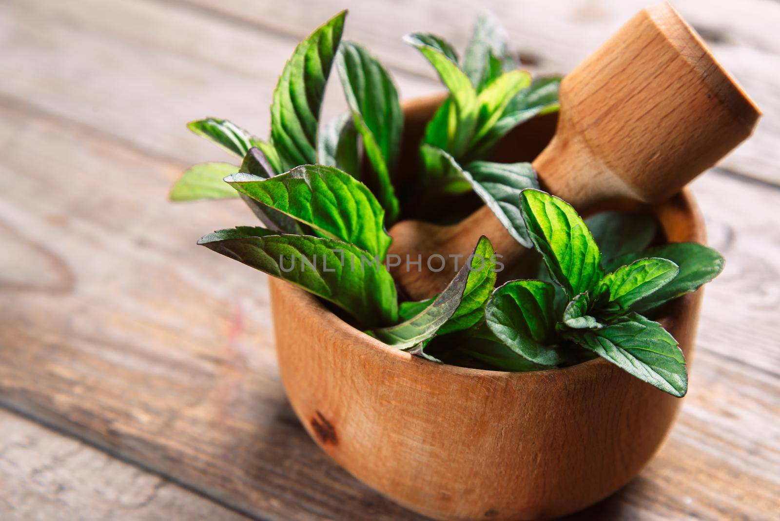 Herb plant in mortar with pestle on wooden background, medicinal herb