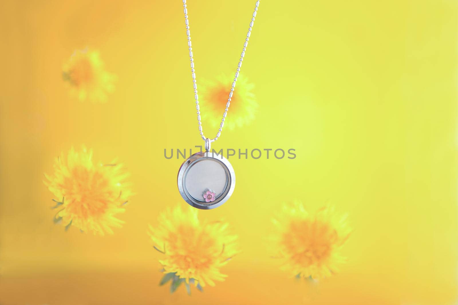 Silver necklace for her shining on yellow background with dandelions. Luxury silver jewelry chains with glass and crystals. Small Beautiful precious metal present for woman.