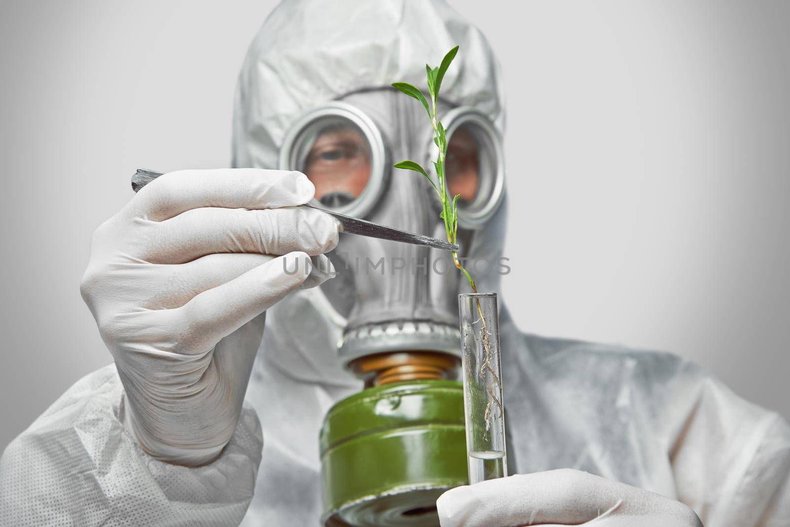 Scientist in protective uniform and respirator puts green plant in flask with tweezers