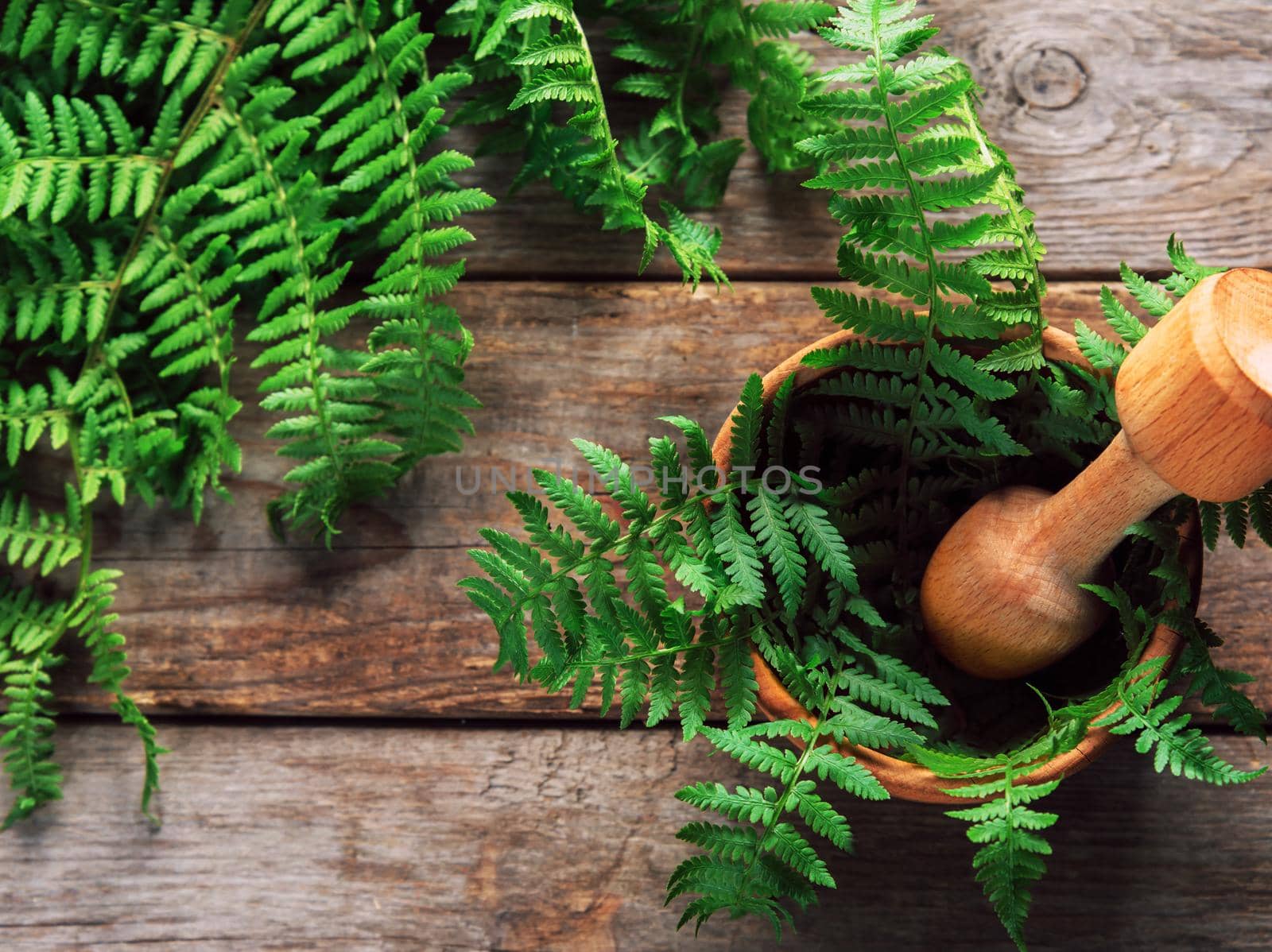 Green fern leaves in mortar with pestle on wooden background