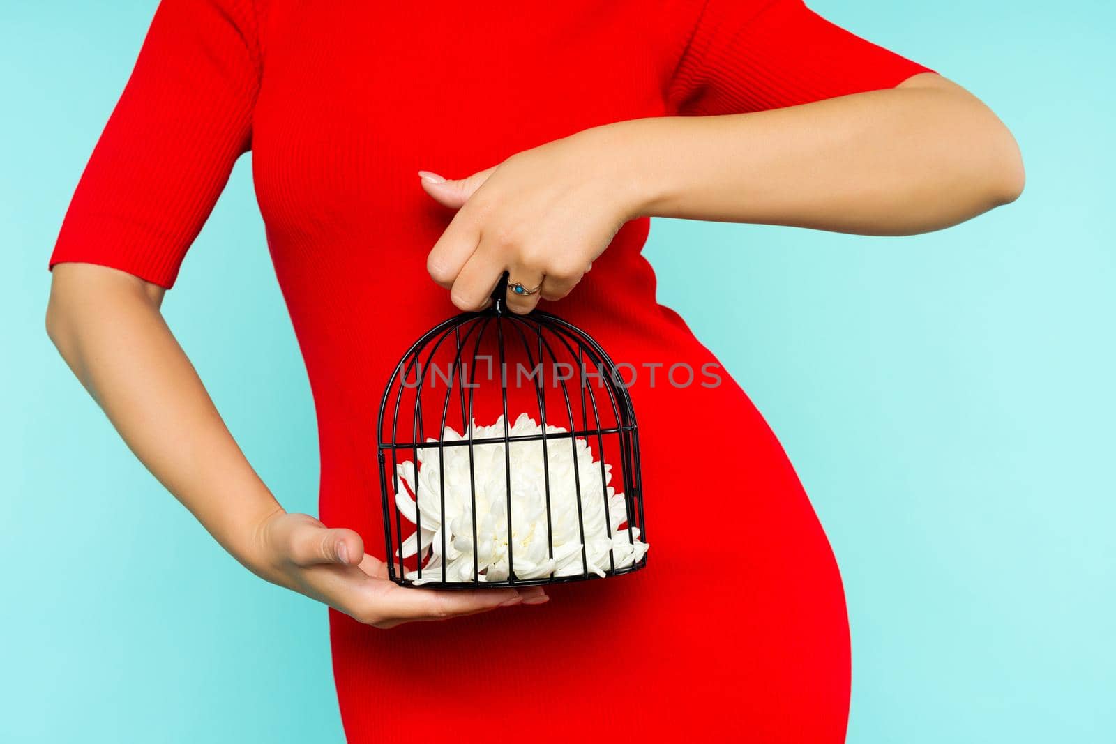 Asian woman in red dress holding a bird cage with a flower inside on blue background