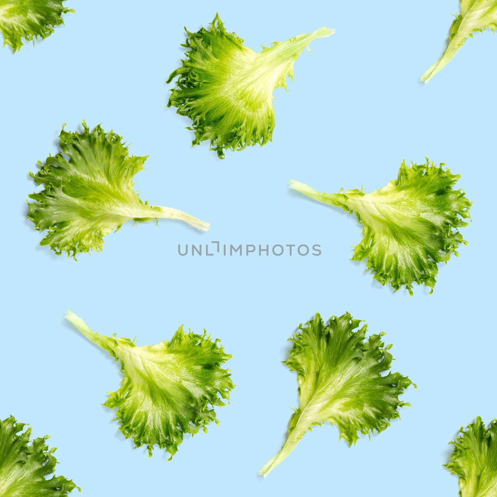 seamless pattern from lettuce green leaves salad. frillice salad isolated on blue. iceberg salad leaf flat lay by PhotoTime