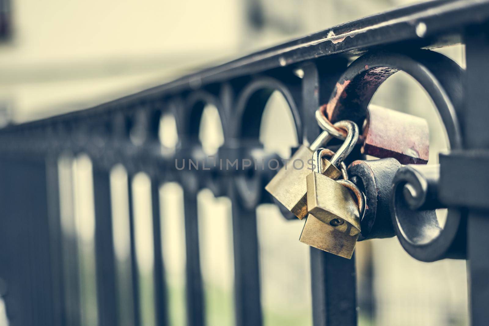 macro photo of two locks on a bridge
