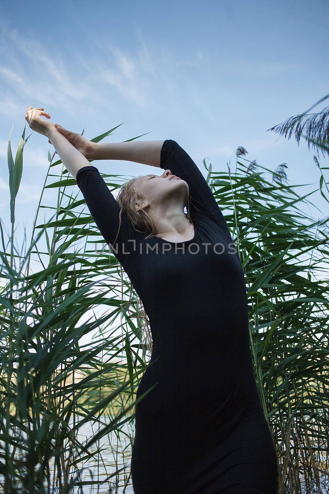 portrait of sensual young pretty caucasian girl in black dress with wet long blonde hair standing against green reeds with her arms raised. Attractive female posing outdoors at nature