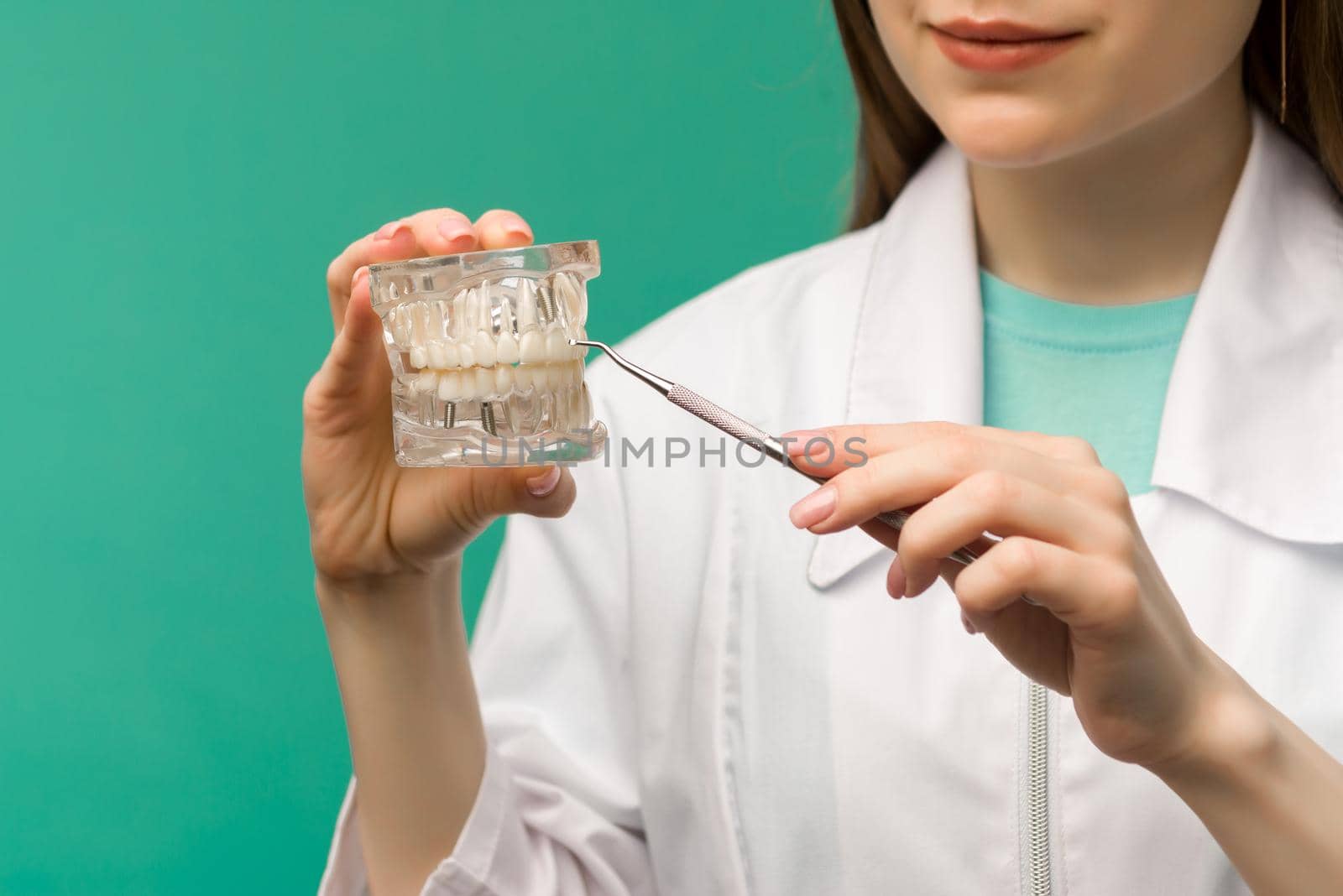 Woman dentist showing on a jaw model oral checkup - image