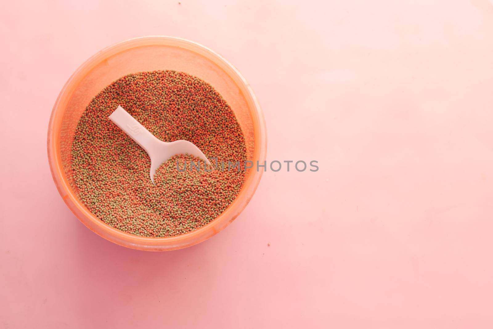 top view of pet fish food in a container .