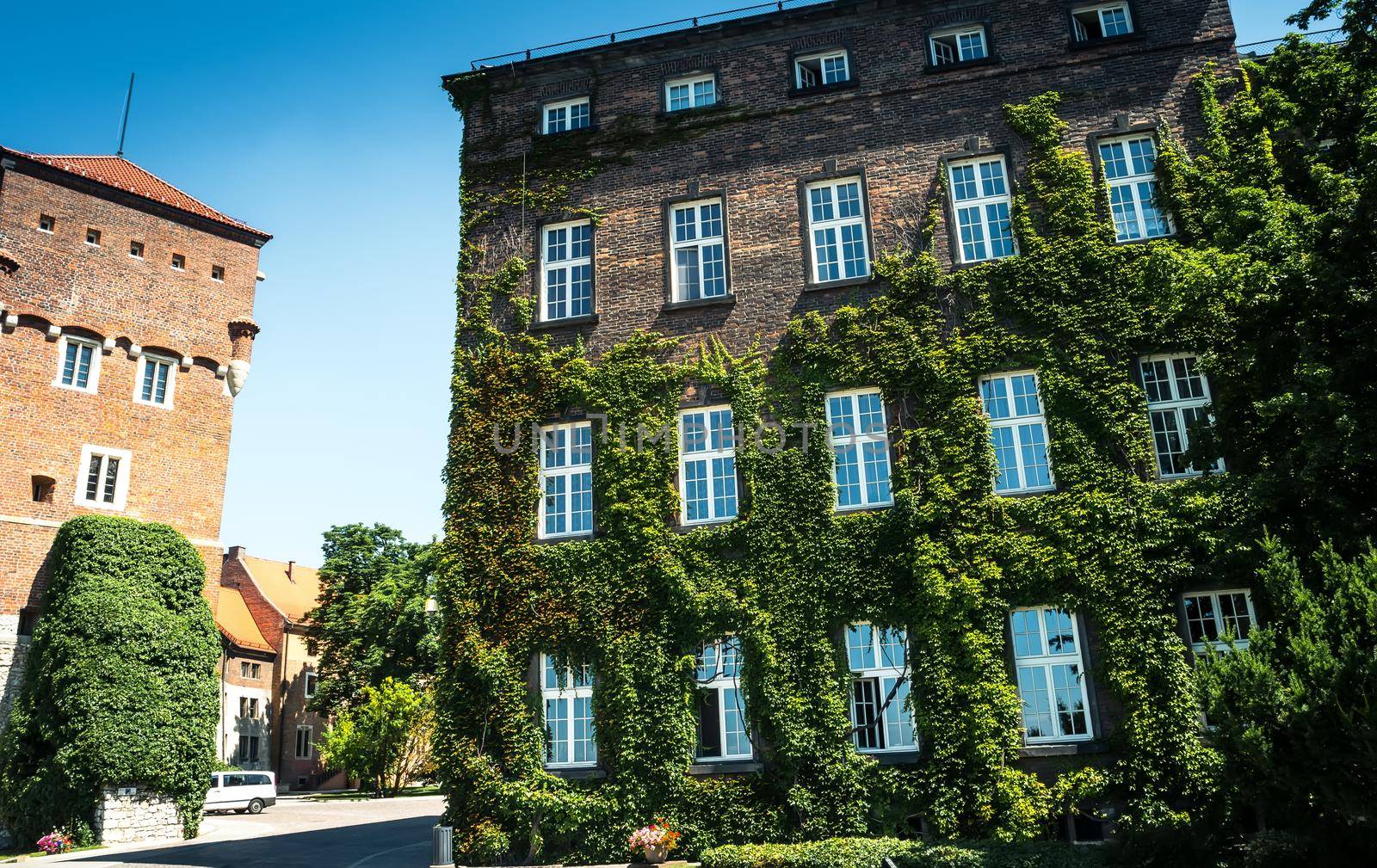 house in grapes at Krakow near Wawel Castle