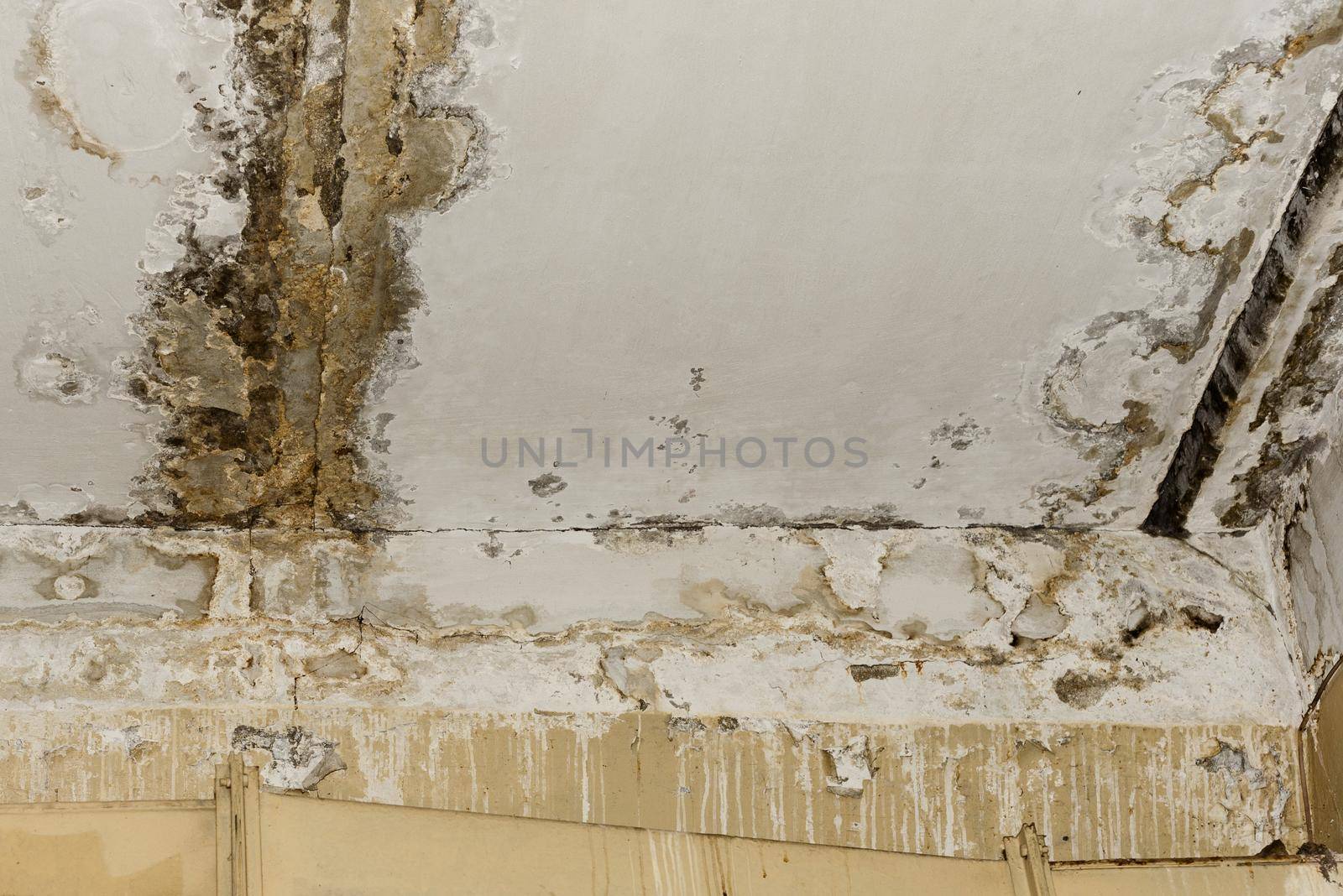 Consequences of leaking roof in the old office room - image