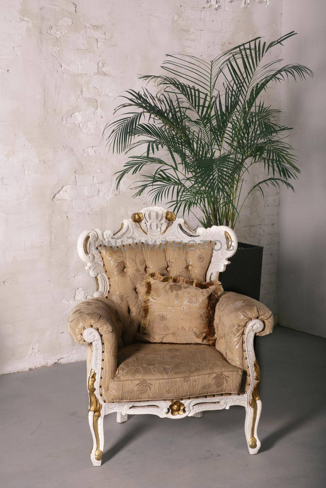 White sofa armchair standing next to a plant pot on white wall.