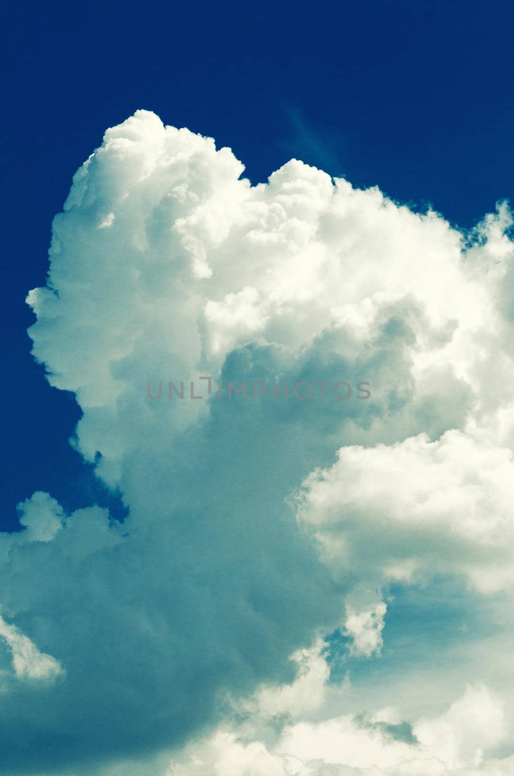 Incredibly wonderful lush cumulus clouds against a blue sky by zartarn