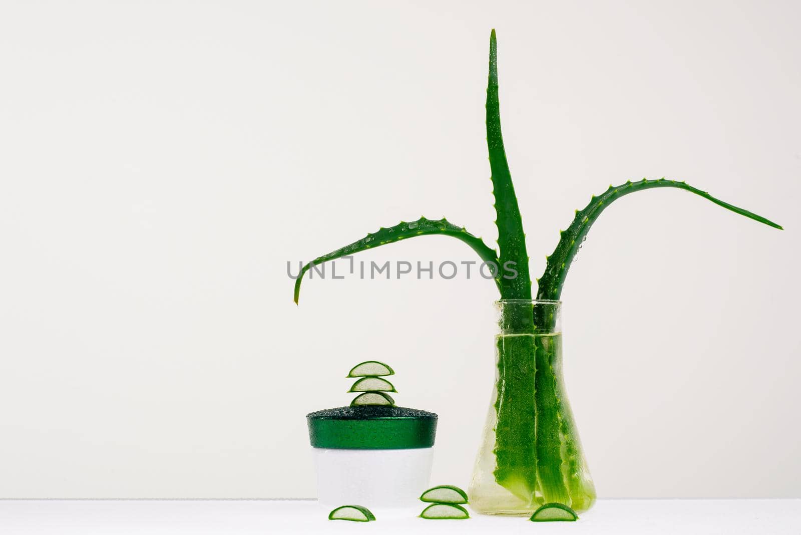 Create a face cream with fresh aloe Vera extract for medical and cosmetic use- Image