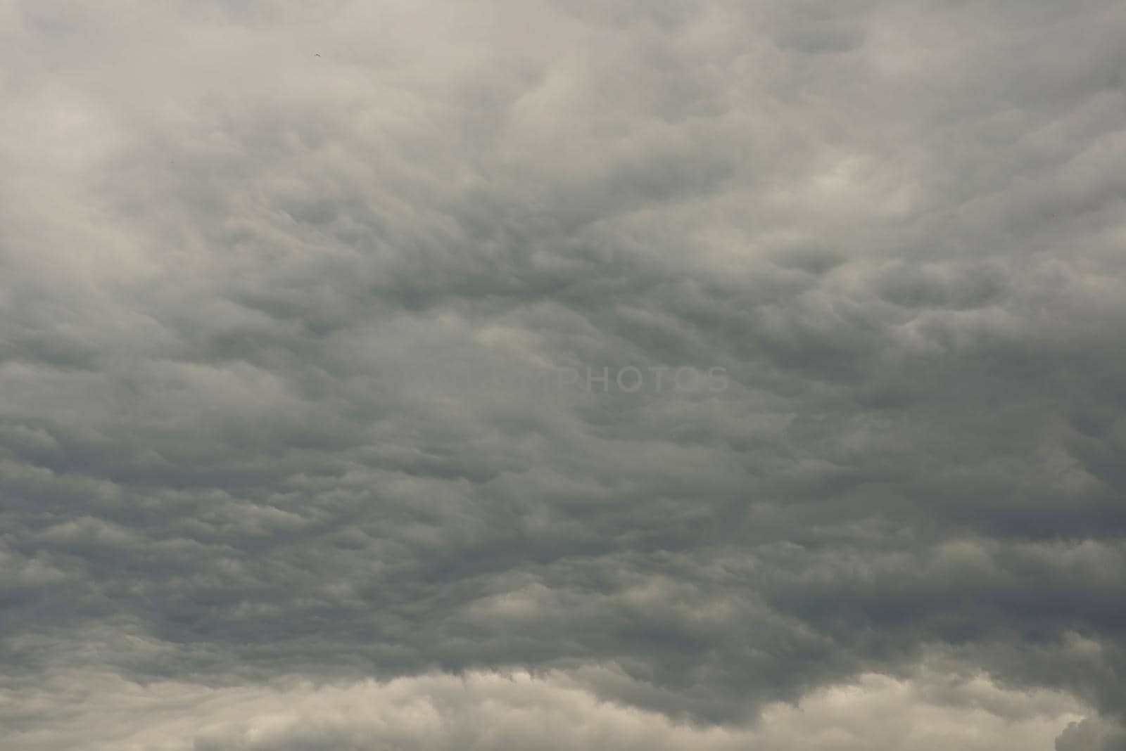 Dark clouds on sky before rainy and storm - image