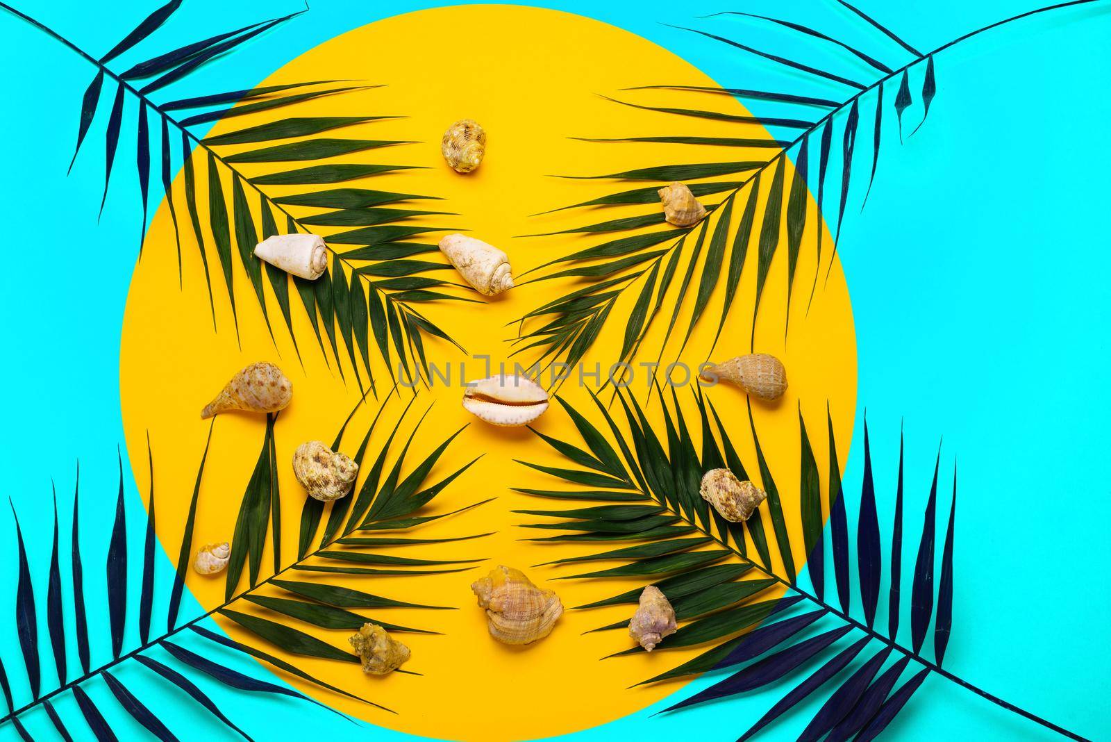 Flat lay traveler accessories with palm leaf, seashells . Top view travel or vacation concept. Summer background.