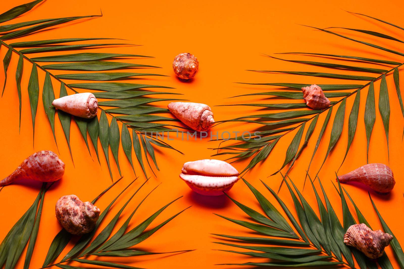 Flat lay traveler accessories with palm leaf, seashells . Top view travel or vacation concept. Summer background.