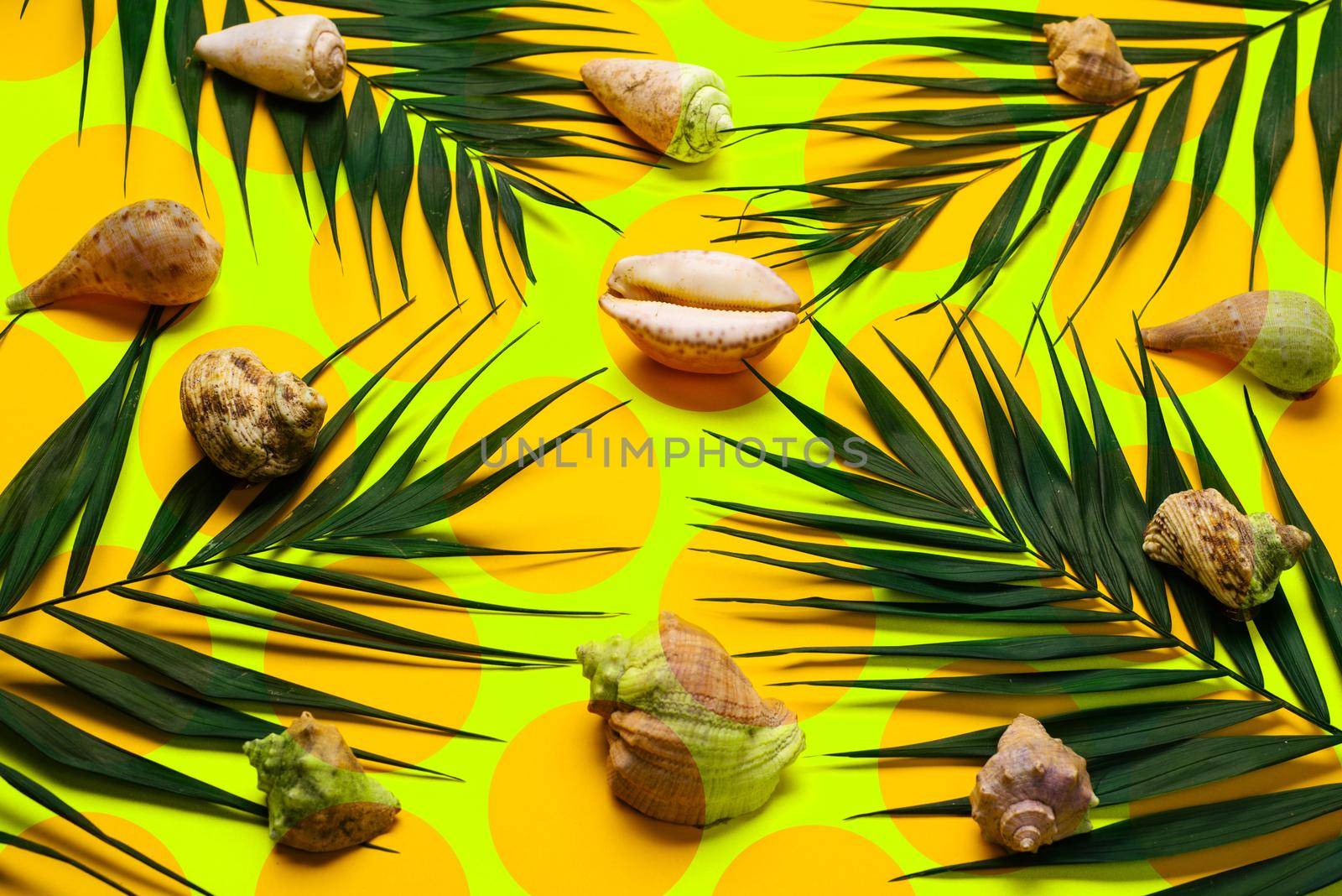 Flat lay traveler accessories with palm leaf, seashells . Top view travel or vacation concept. Summer background.