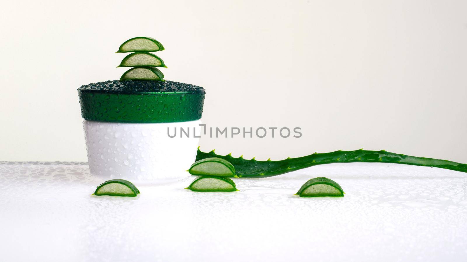 Aloe Vera is an evergreen, perennial, succulent plant with spear-shaped leaves, decorated with thorns at the edges - Image