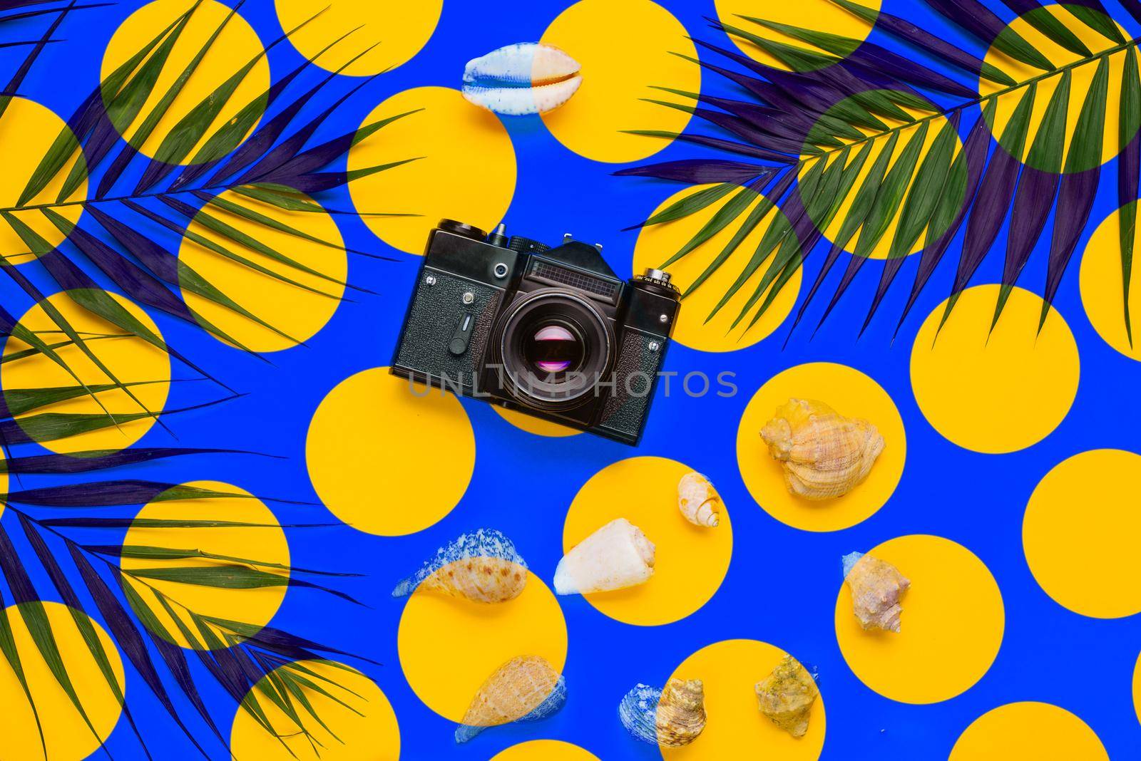 Flat lay traveler accessories with palm leaf, seashells, camera . Top view travel or vacation concept. Summer background.