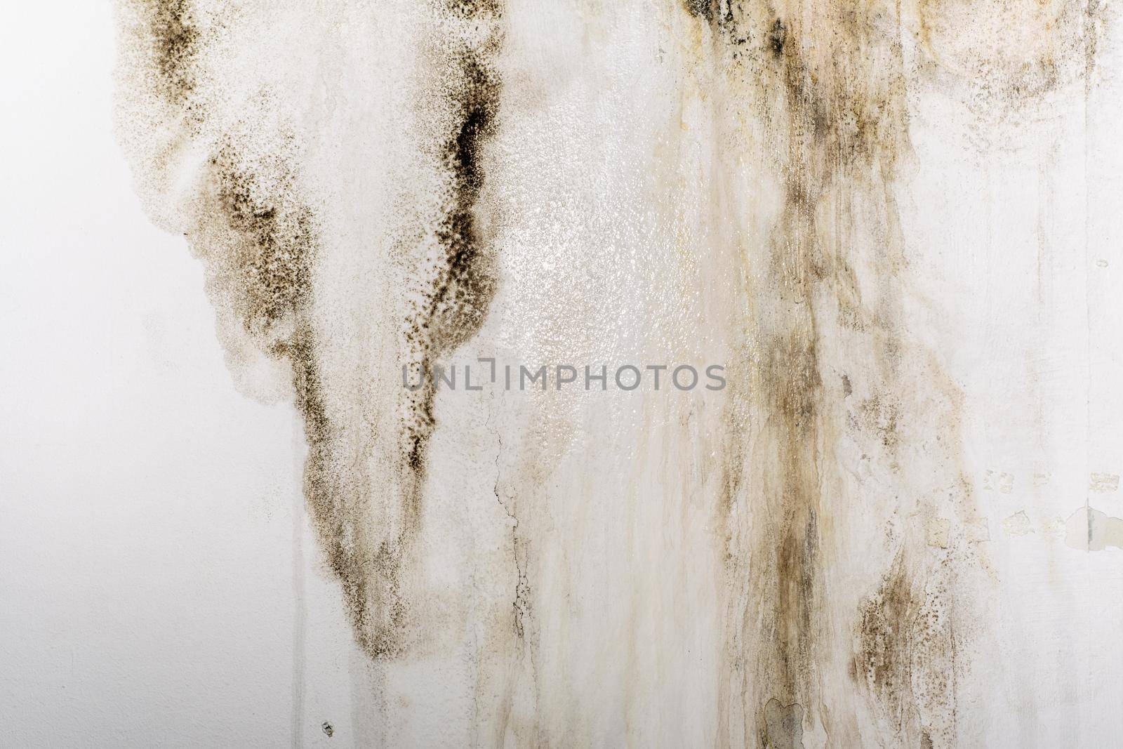 Big wet spots and cracks and black mold on the wall of the domestic house room after heavy rain and lot of water - Image