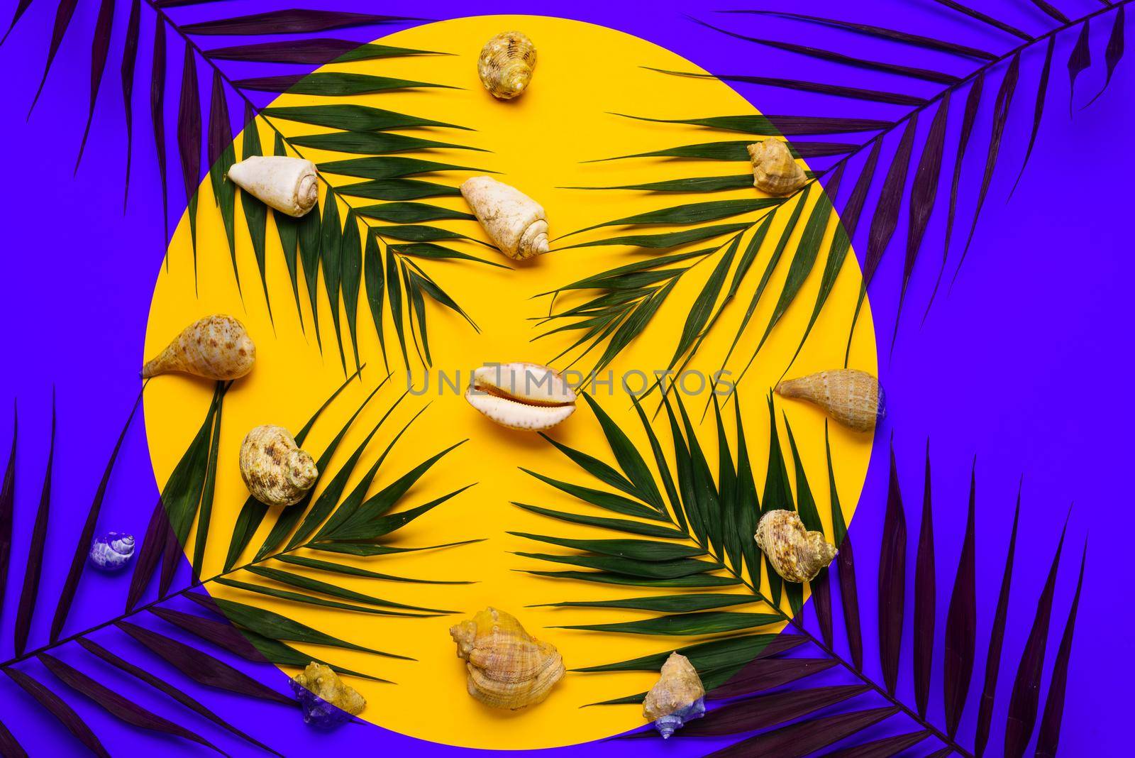 Flat lay traveler accessories with palm leaf, seashells . Top view travel or vacation concept. Summer background.