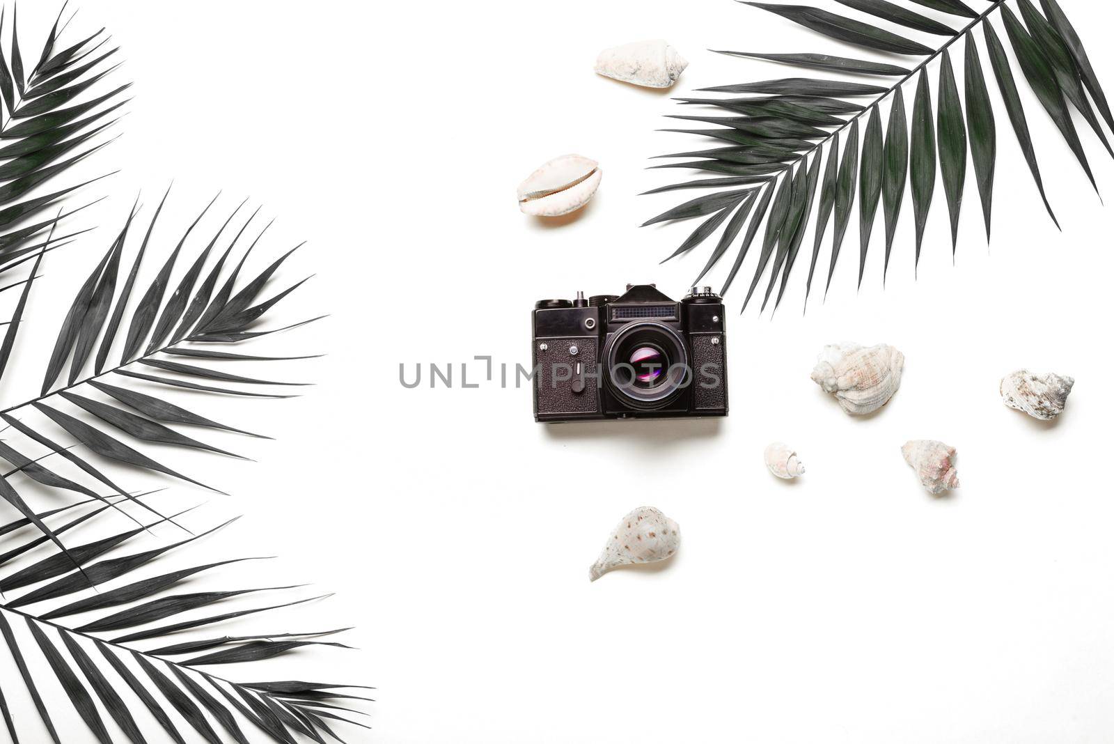 Flat lay traveler accessories with palm leaf, seashells, camera . Top view travel or vacation concept. Summer background.