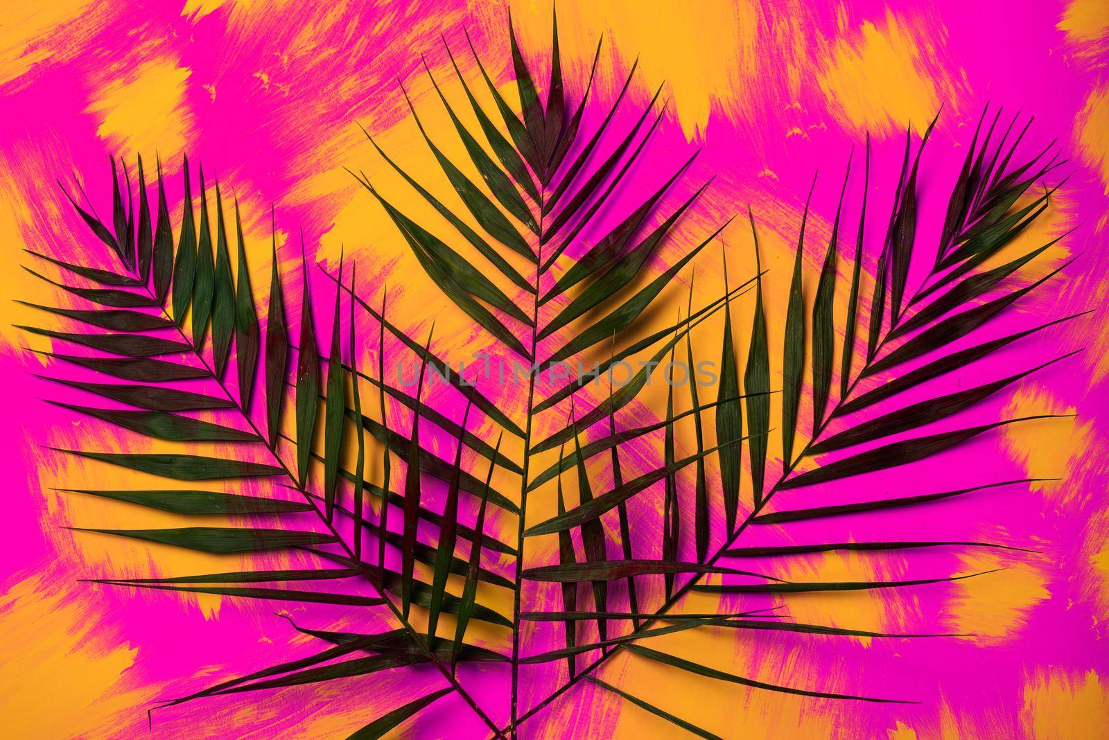 Flat lay traveler accessories with palm leaf . Top view travel or vacation concept. Summer background.