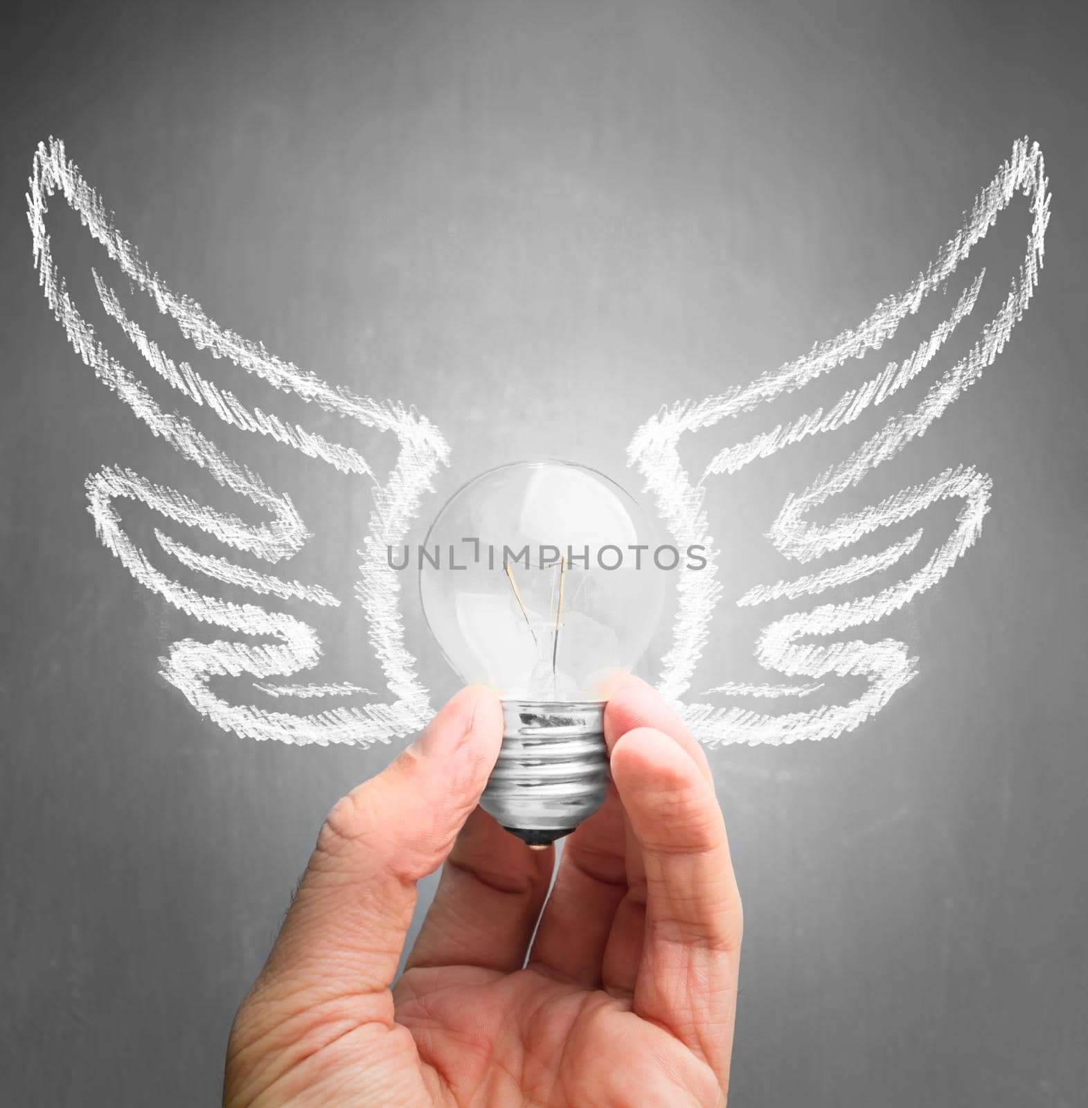 Human hand holds a light bulb with drawing wings, concept of new idea and inspiration