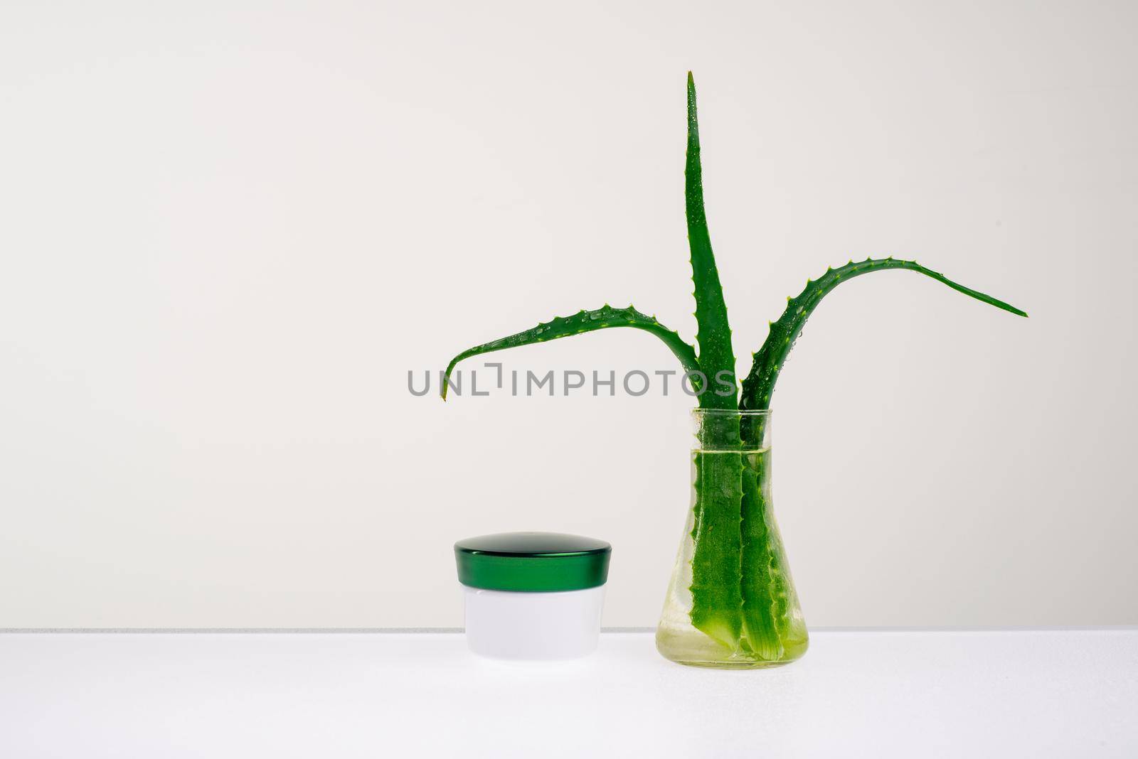Body care cream and Aloe in a vase with water on a white background - Image