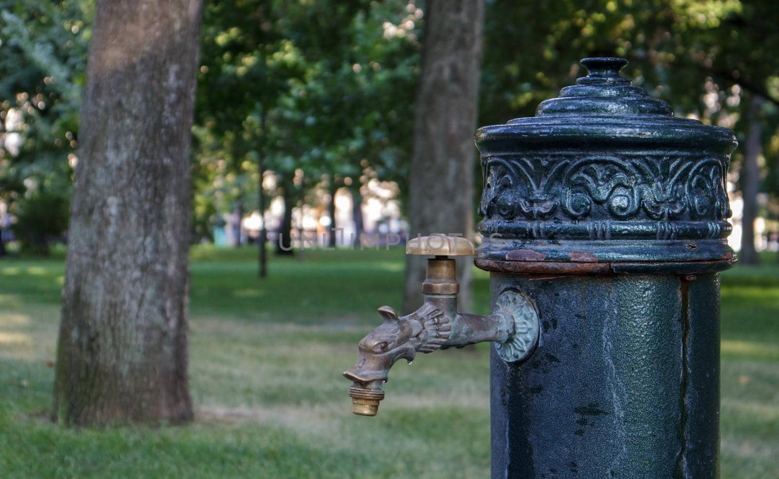 Water well in the park in summer, pumping system, close-up and side view of a beautiful metal bronze faucet. Part of an old iron outdoor tap. Click on the mineral water pump room