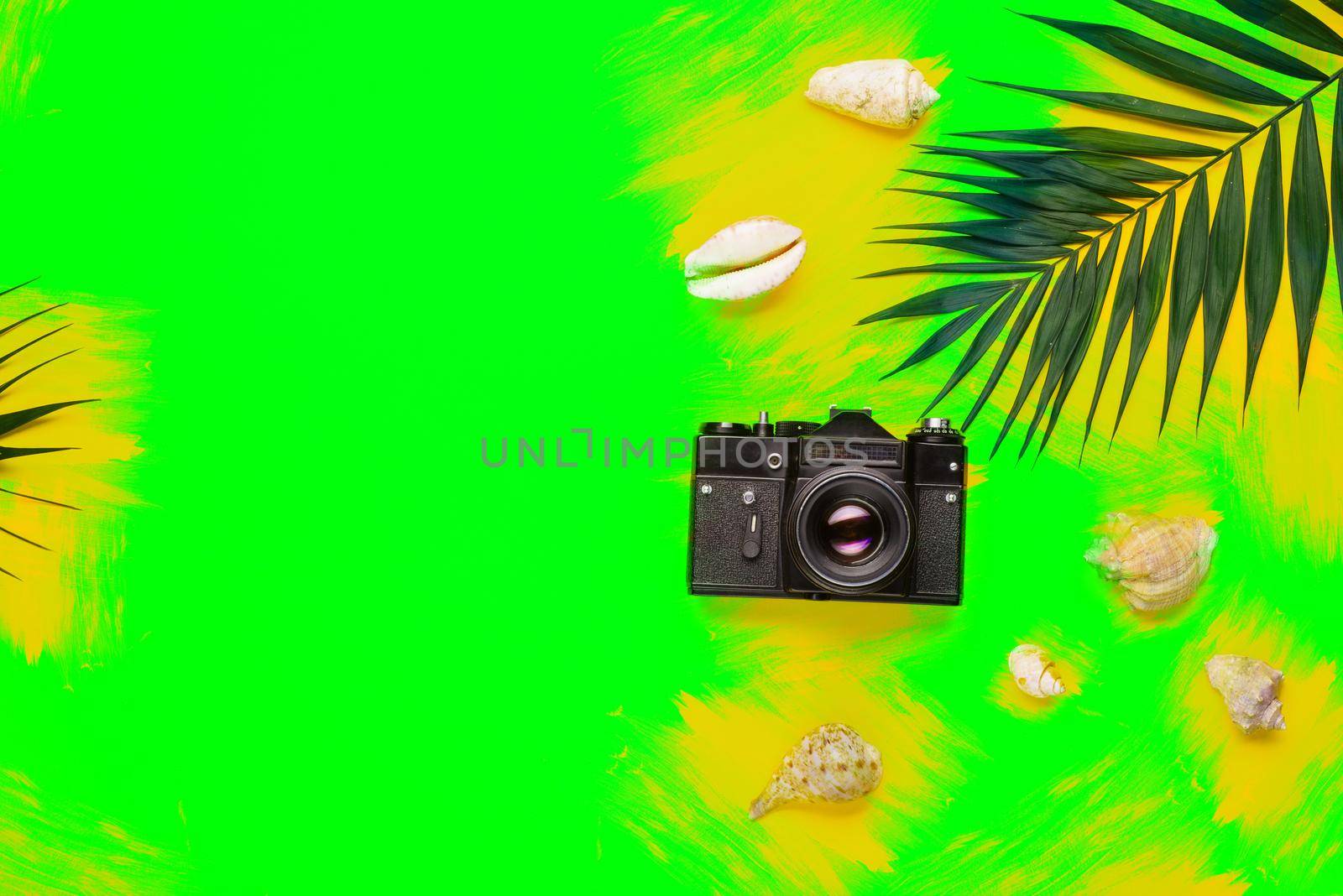 Flat lay traveler accessories with palm leaf, seashells, camera . Top view travel or vacation concept. Summer background.
