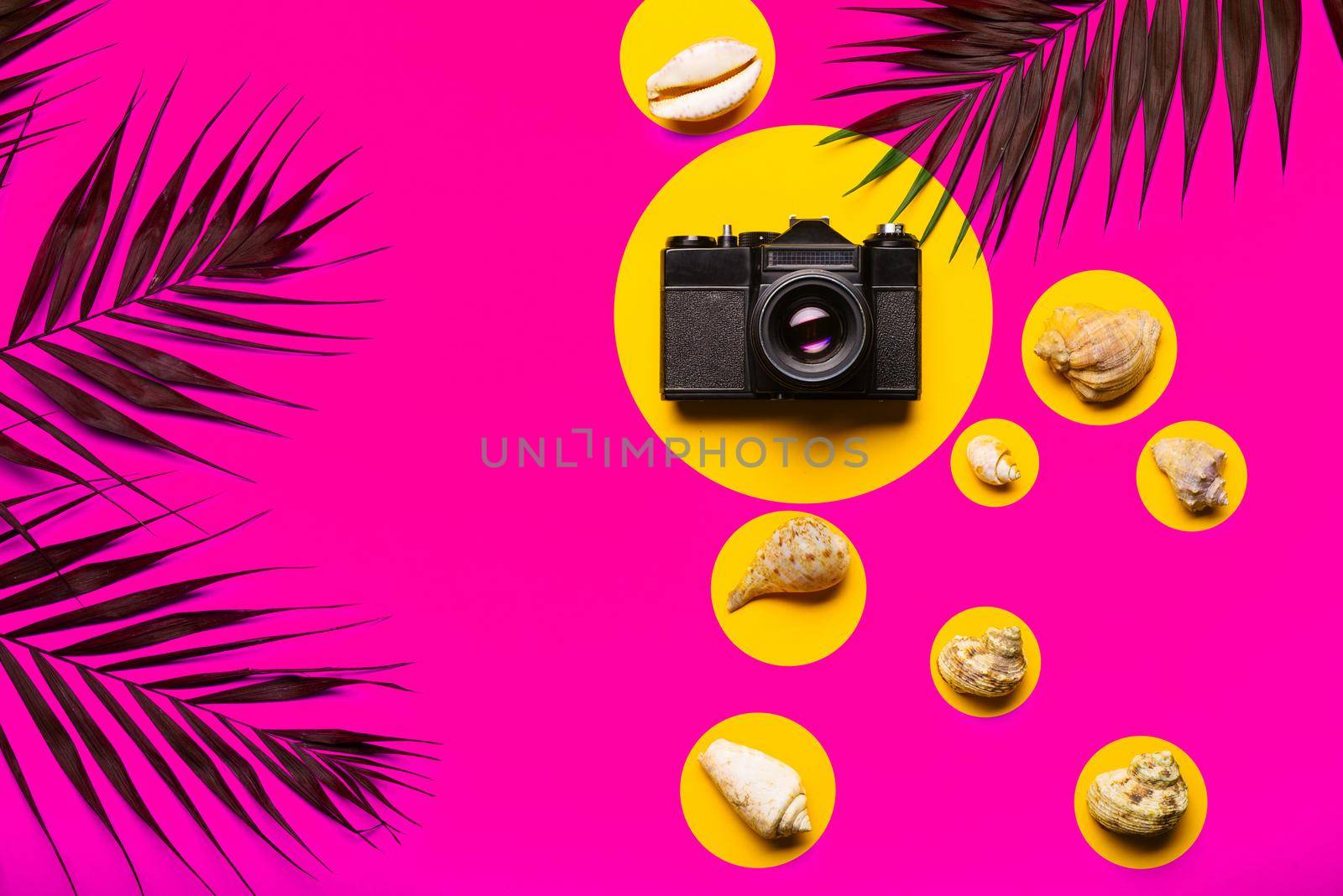 Flat lay traveler accessories with palm leaf, seashells, camera . Top view travel or vacation concept. Summer background.