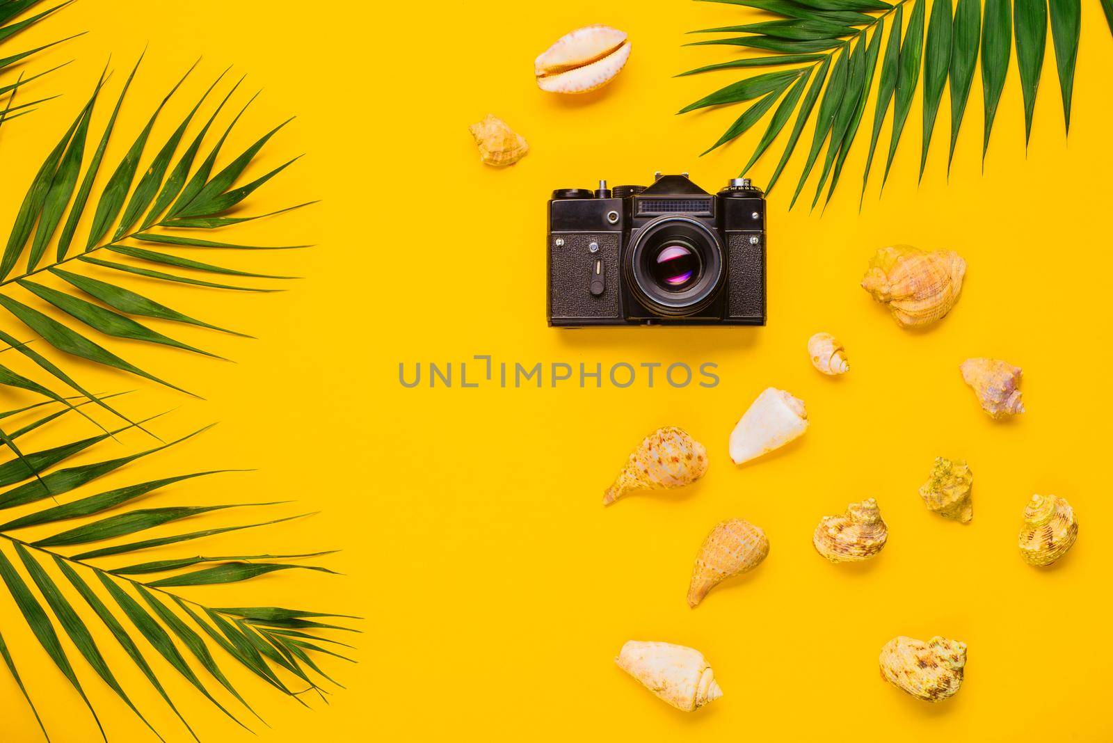Flat lay traveler accessories with palm leaf, seashells, camera . Top view travel or vacation concept. Summer background.