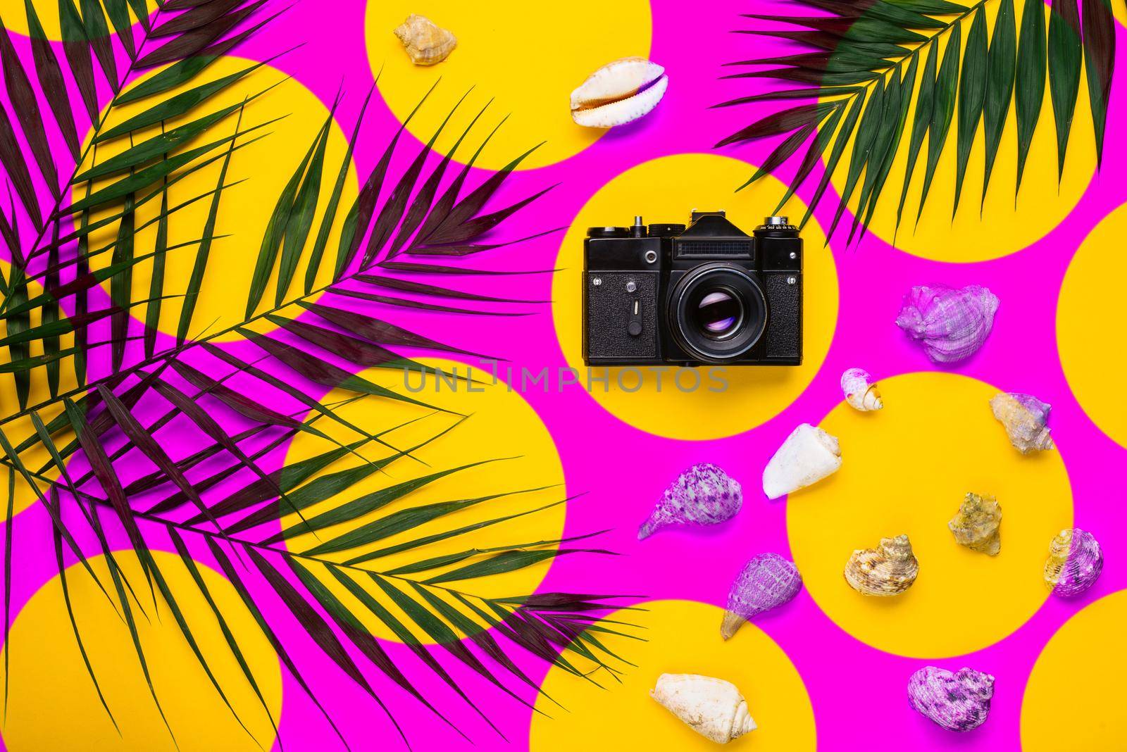 Flat lay traveler accessories with palm leaf, seashells, camera . Top view travel or vacation concept. Summer background.