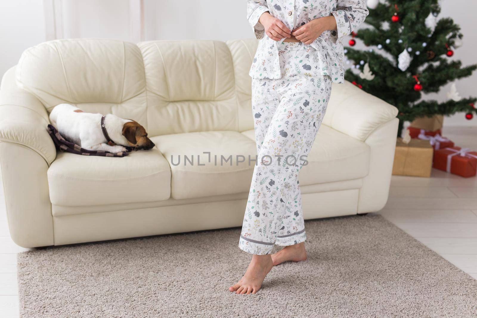 Happy young woman with lovely dog in living room with christmas tree. Holidays.