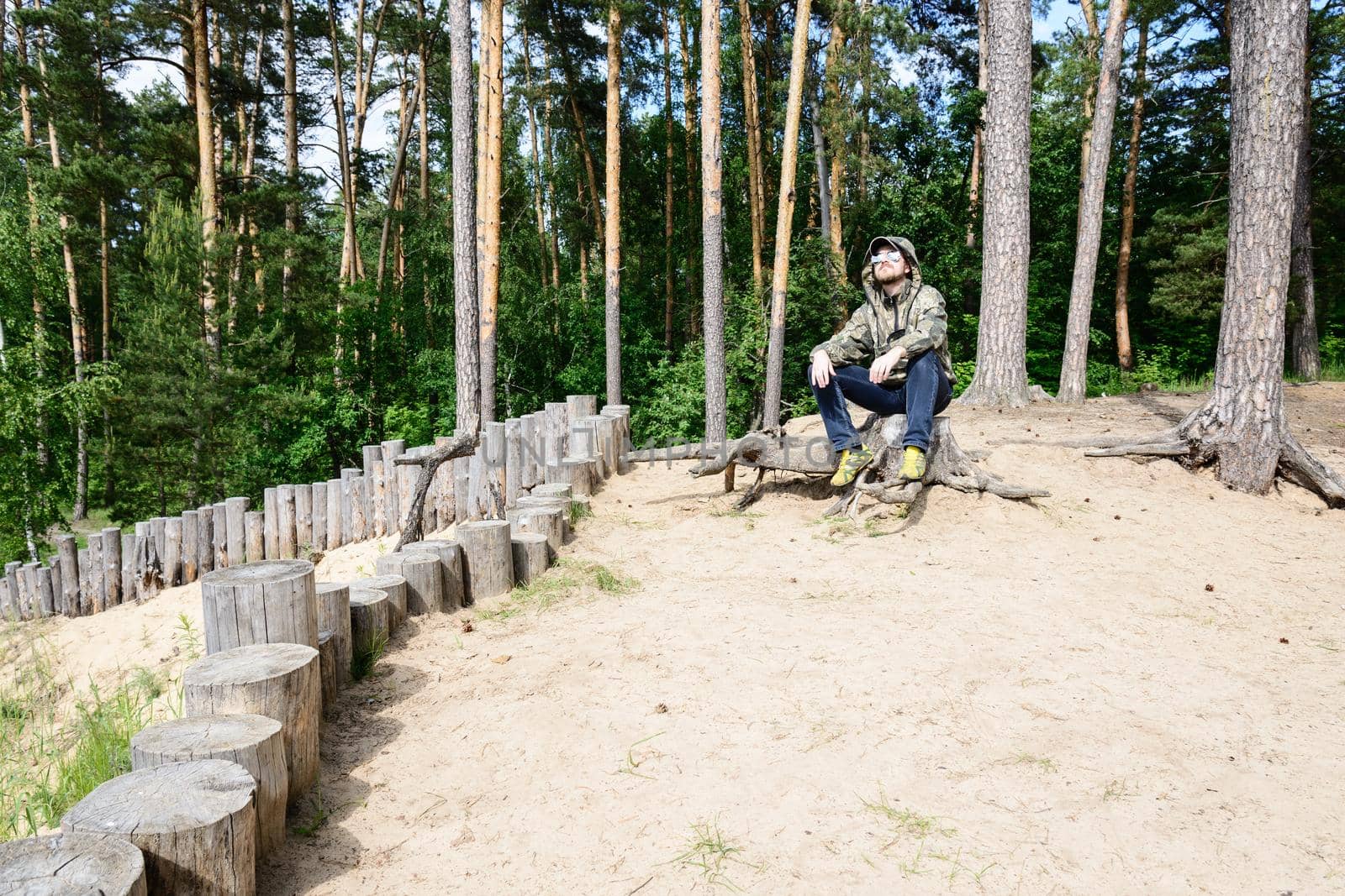 Male tourist sits on a tree stump on a sandy shore among the pines