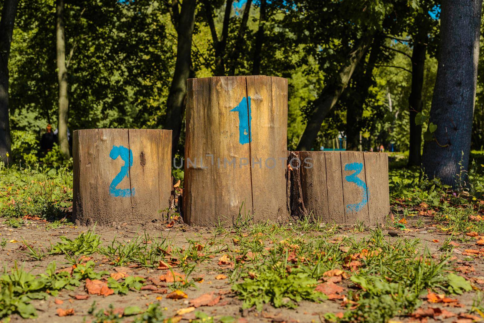 Olympic podium of the stumps in a clearing in the autumn.