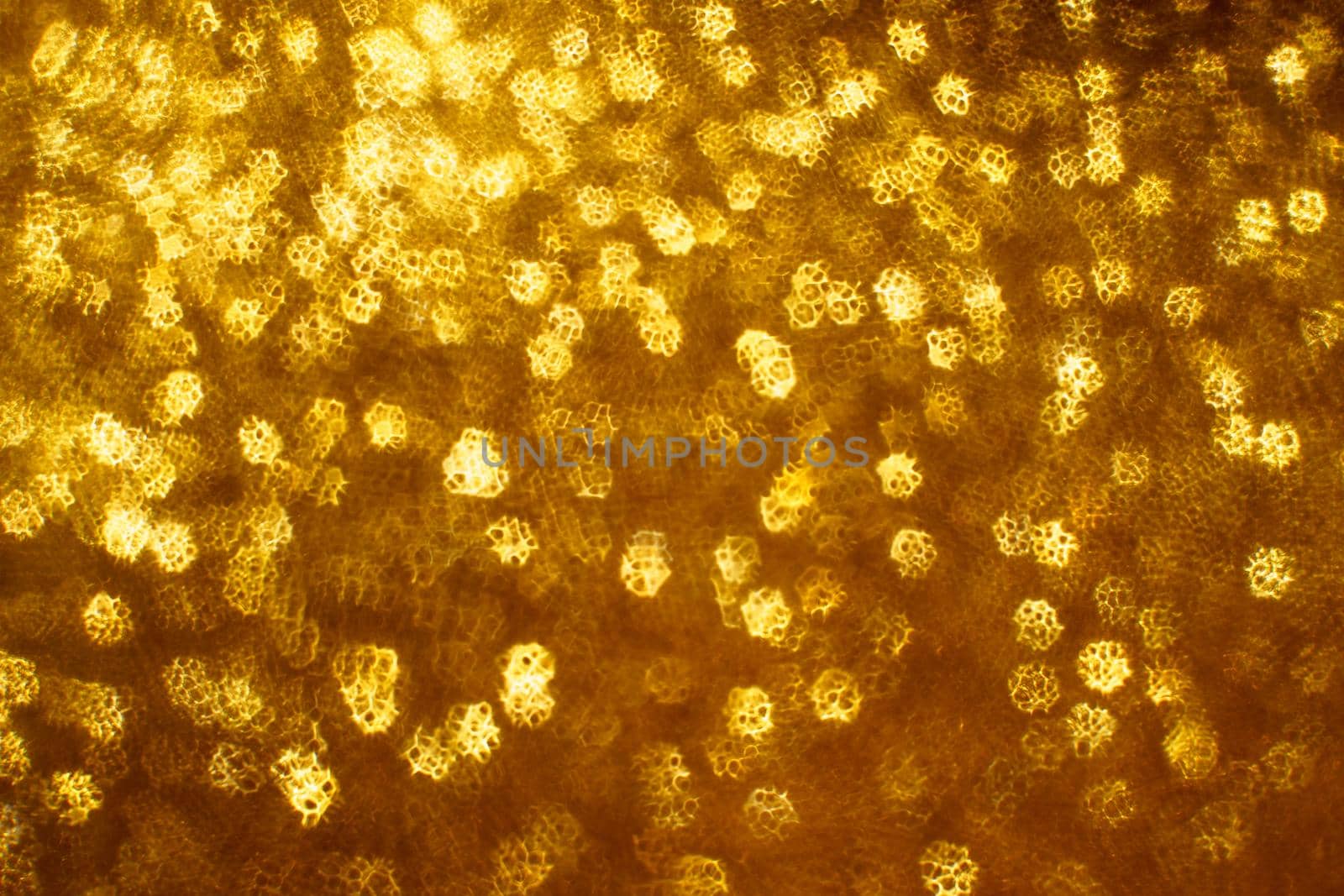 Christmas background. Festive abstract background with bokeh defocused lights and stars.