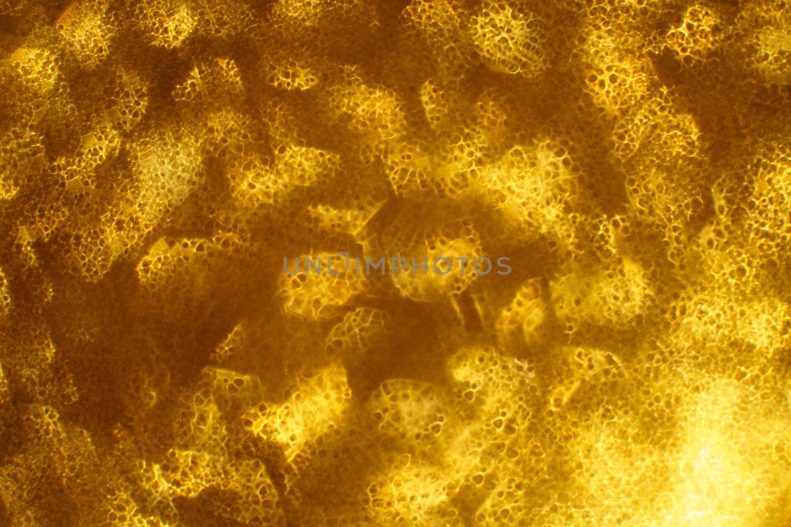 Christmas background. Festive abstract background with bokeh defocused lights and stars.
