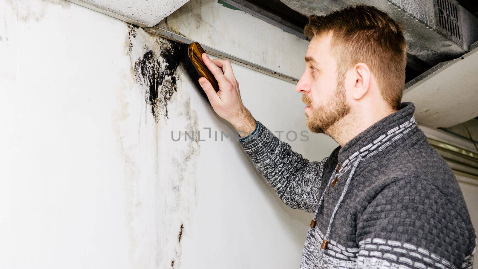 Bearded man removes black mold on the wall after leakage by zartarn