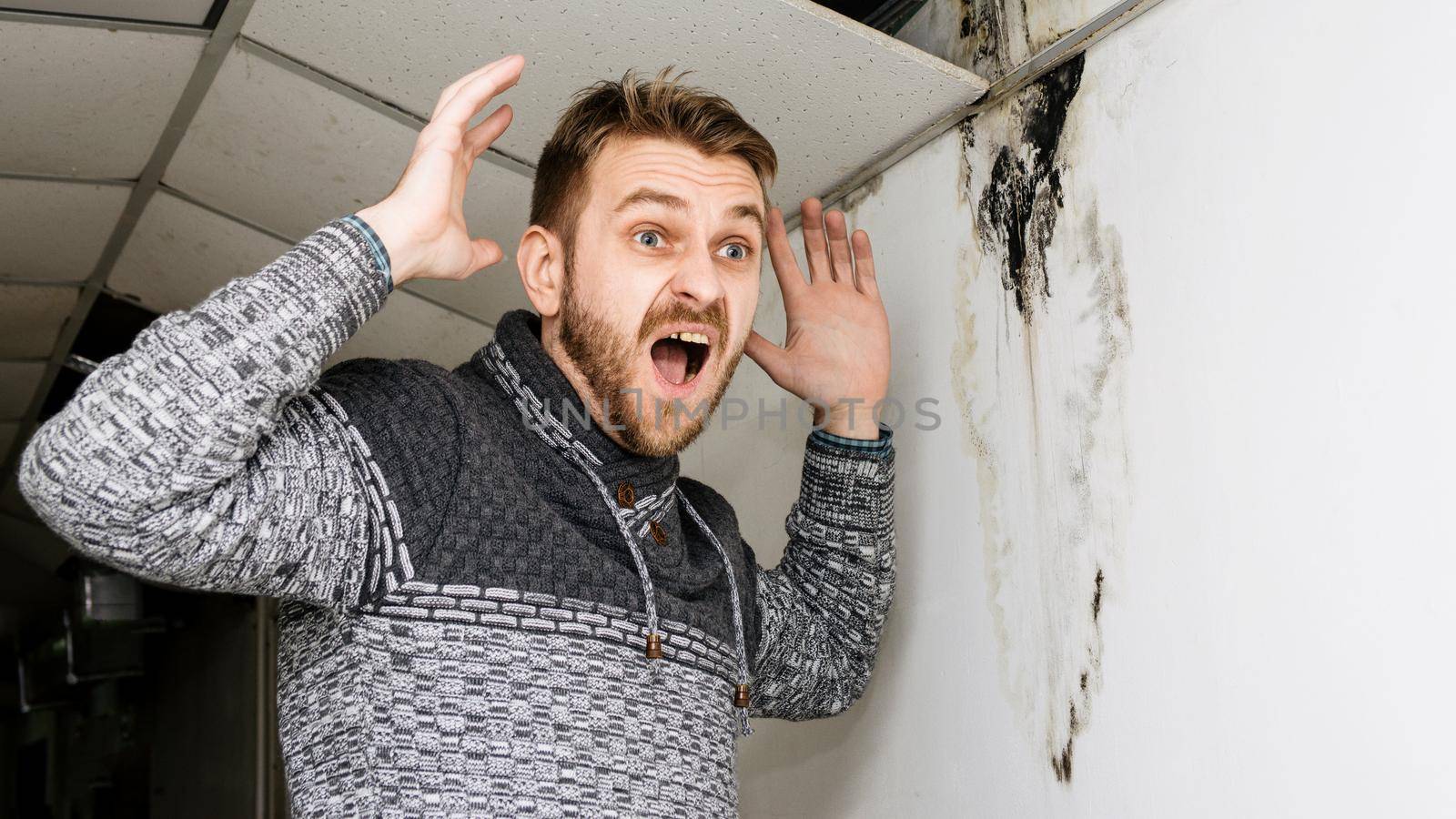 Bearded man in shock from the black mold on the wall and ceiling. by zartarn