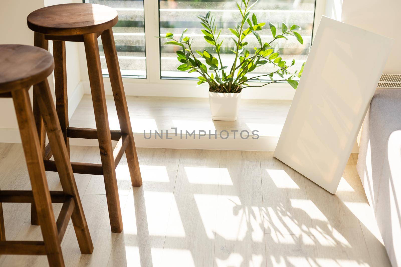 white photo canvas stands in the room