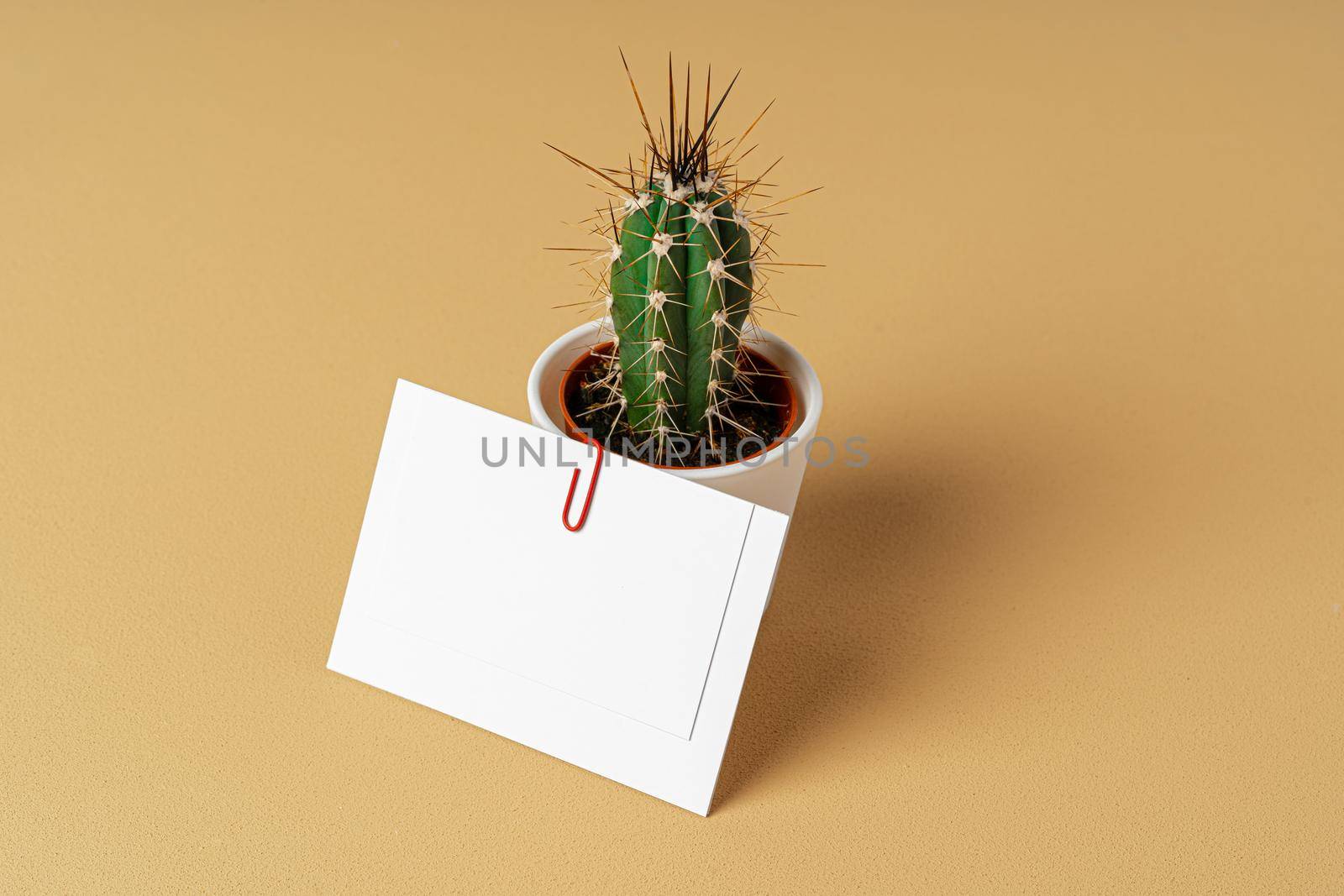 Blank white business card with copy space for your design, close up