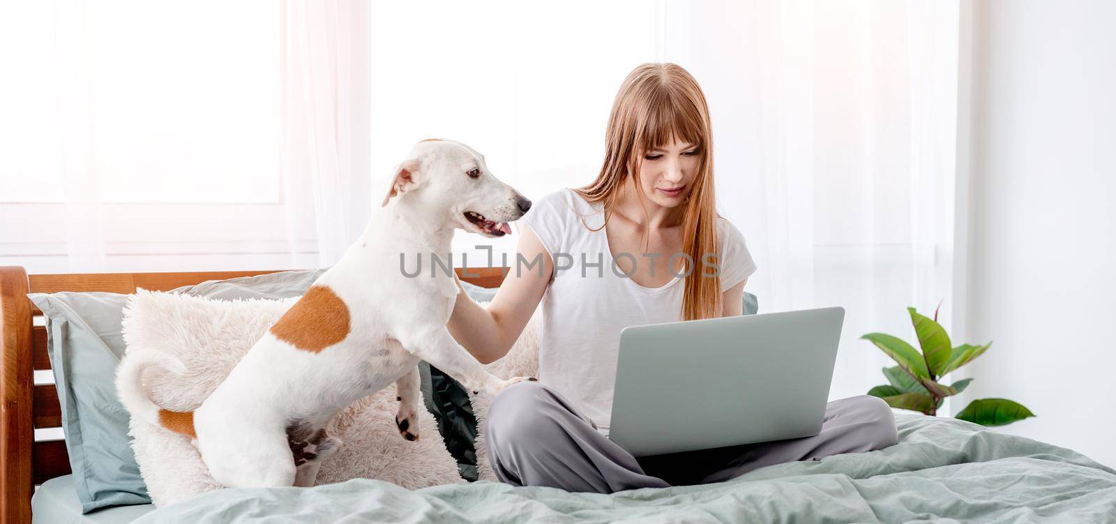Attractive girl sitting in the bed and looking at the screen of laptop and her cute dog standing close to her. Young beautiful woman with pet and notebook in bedroom. Concept of remote work from home
