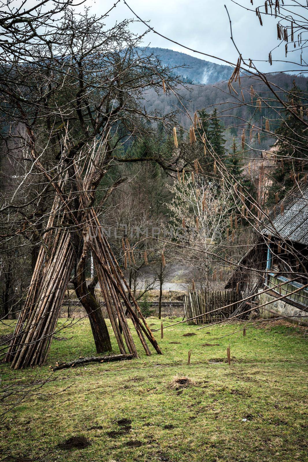 house and yard in Carpathian mountains by GekaSkr