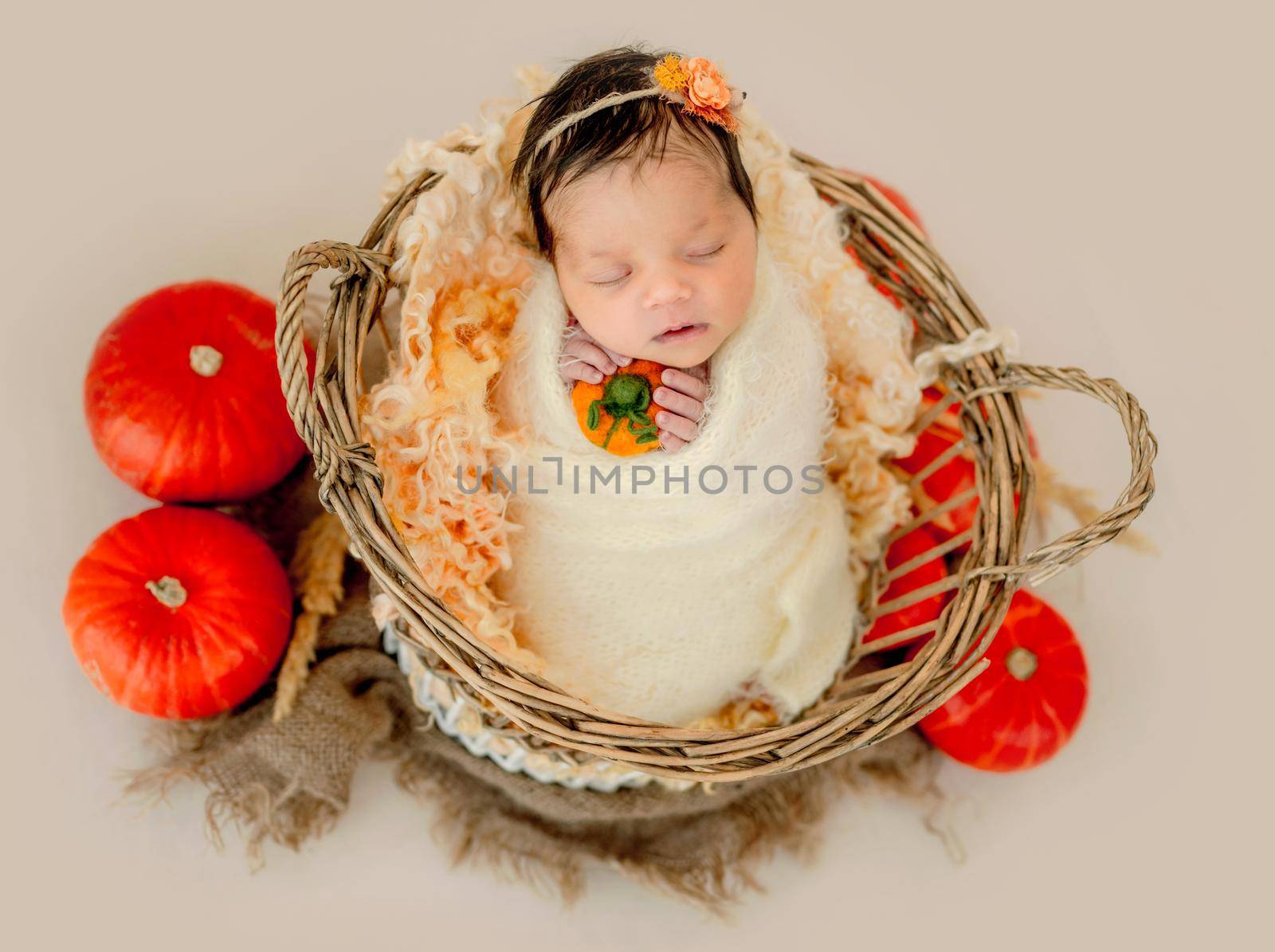 Newborn baby girl sleeping in wicker basket decorated pumpkins and holding knitted toy. Cute infant child kid studio portrait