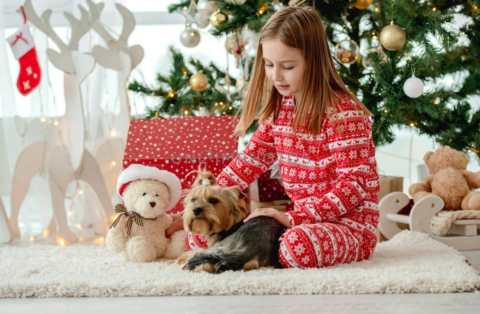 Child girl sitting with dog and gifts near Christmas tree. Cute kid with doggy pet terrier in New Year morning