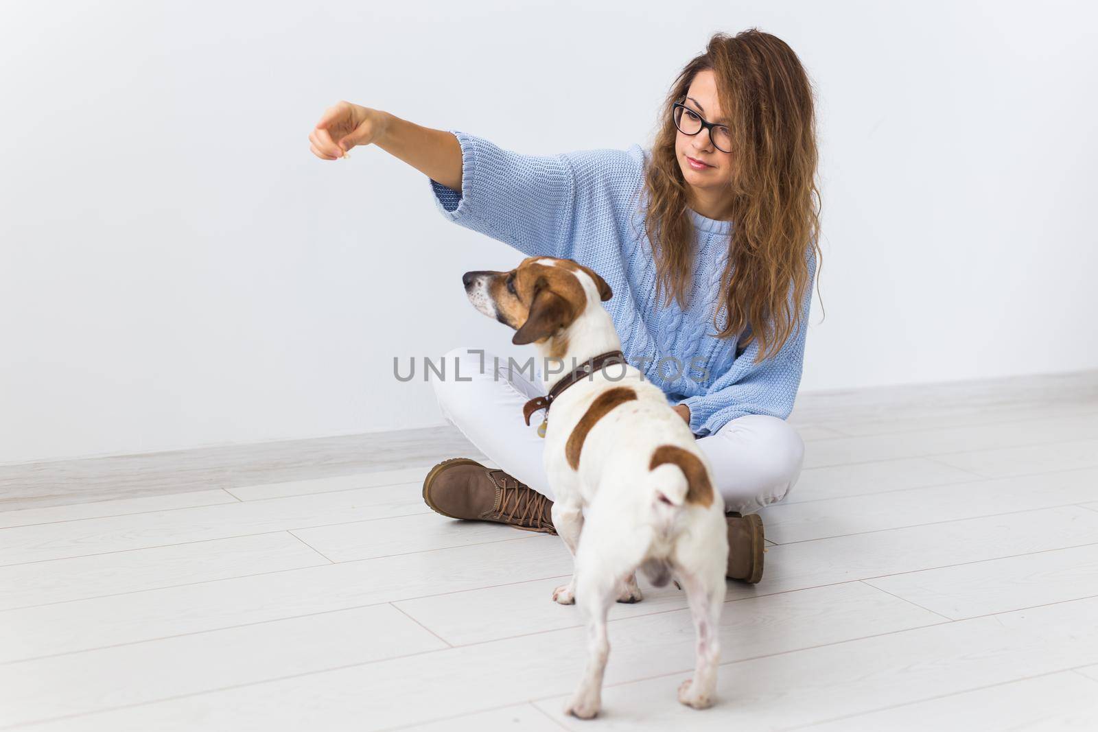 Pets owner concept - Attractive cheerful female in blue sweater playing with her favourite pet. Happy woman with her jack russell terrier by Satura86