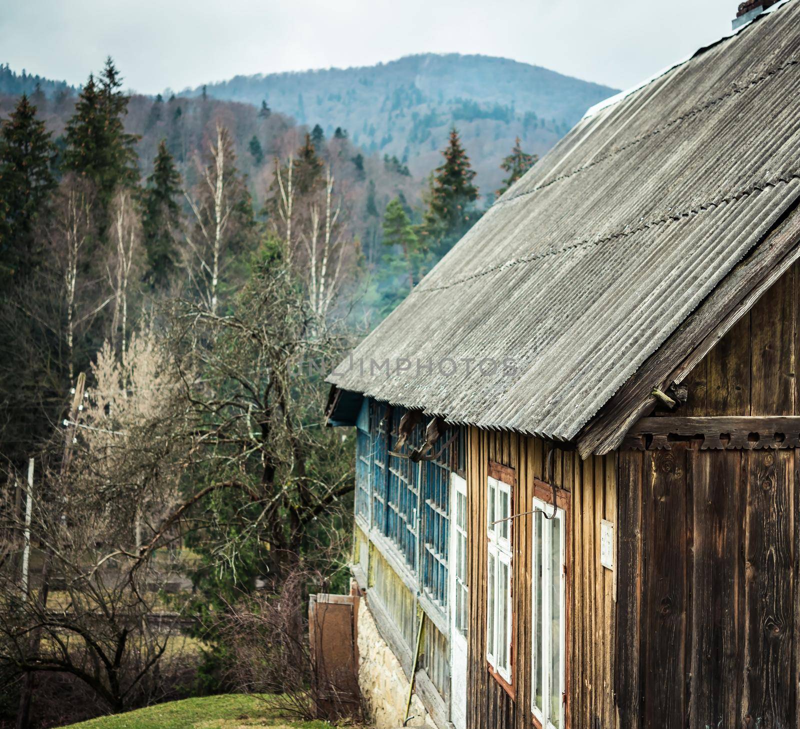 scenic landscape with wooden cabin in Carpathian mountains, Ukraine