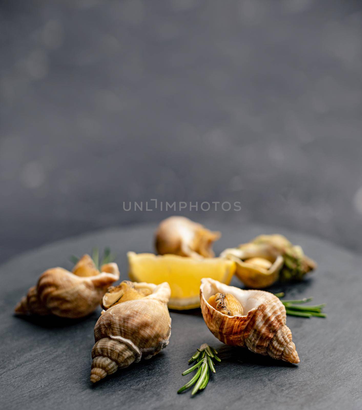 Snails with lemon and rosmarine on black platter. French seafood delicatessen