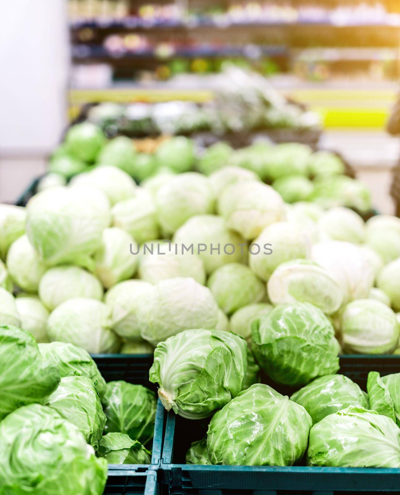 heaps of fresh spring green cabbage on market stall