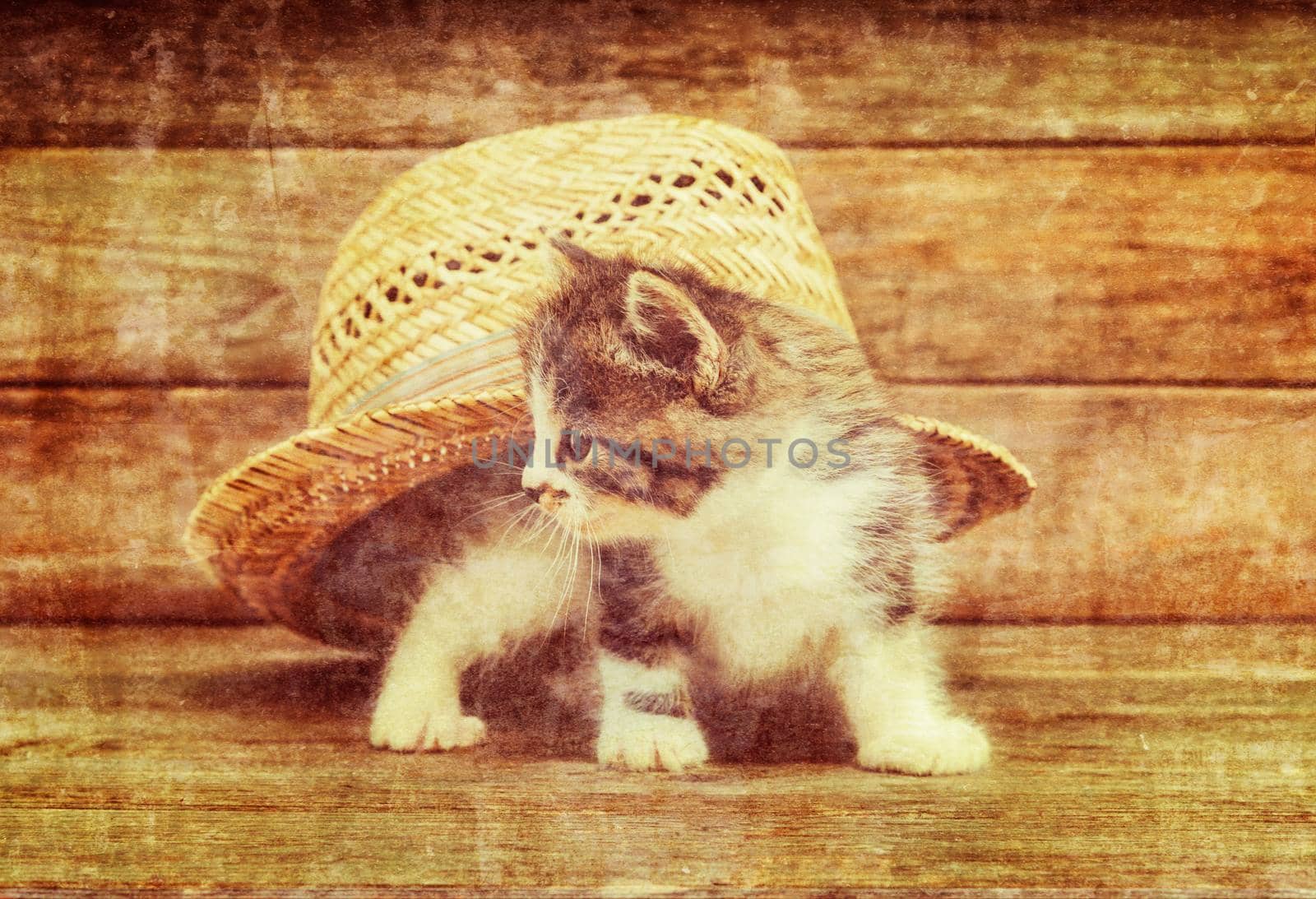 Curiosity little kitten sitting under the straw hat on wooden background. Vintage image